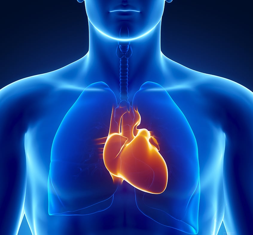 Anomalies du rythme cardiaque : l’entreprise américaine Abbott, l’IHU Liryc et la SATT Aquitaine développent un logiciel pour faciliter les traitements par ablation.